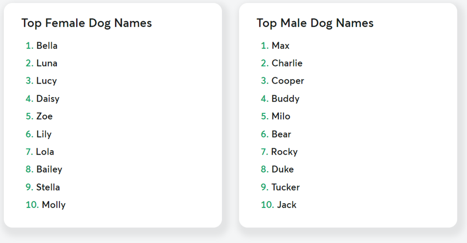 Most popular dog names of 2021 announced, News