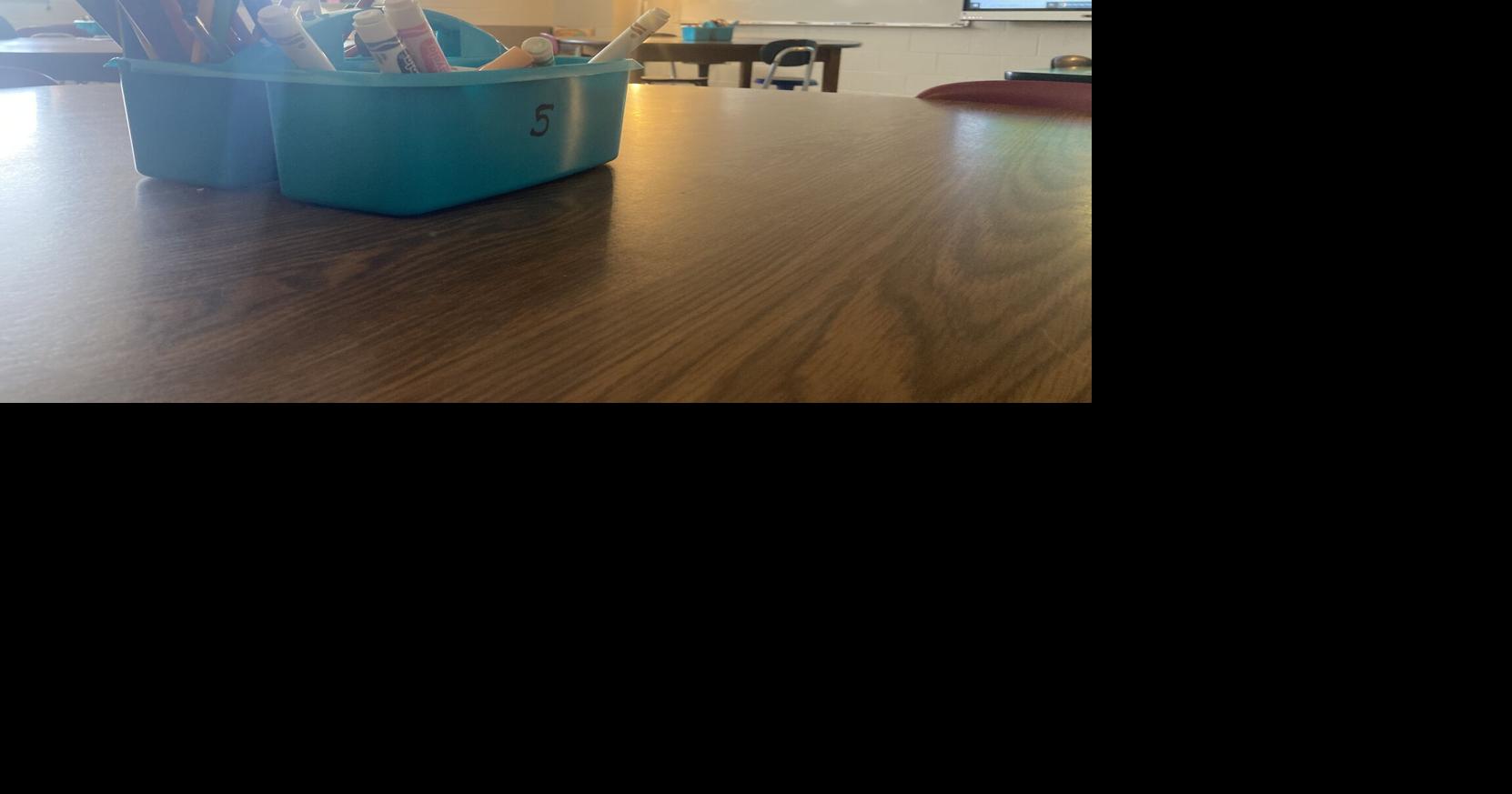 Elk Mound Middle School counselor receives national recognition