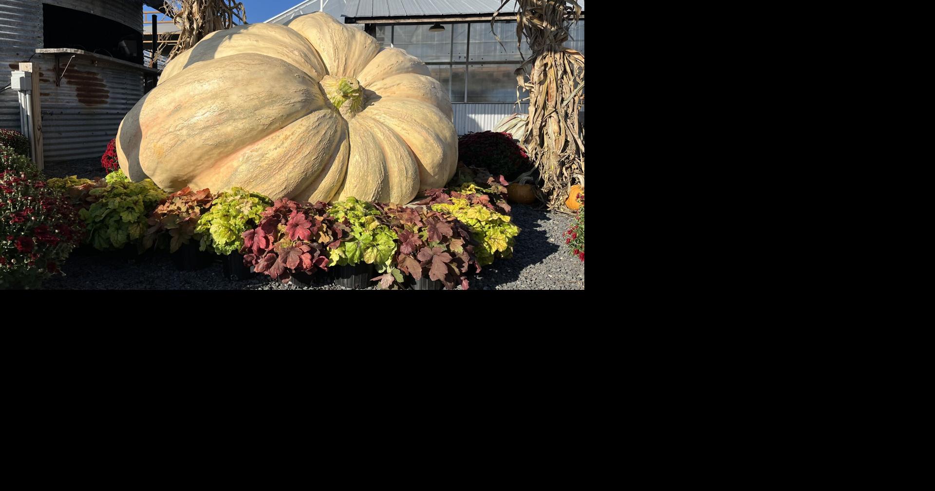#39 I couldn #39 t believe it #39 : Chippewa Valley farmer sets new state record