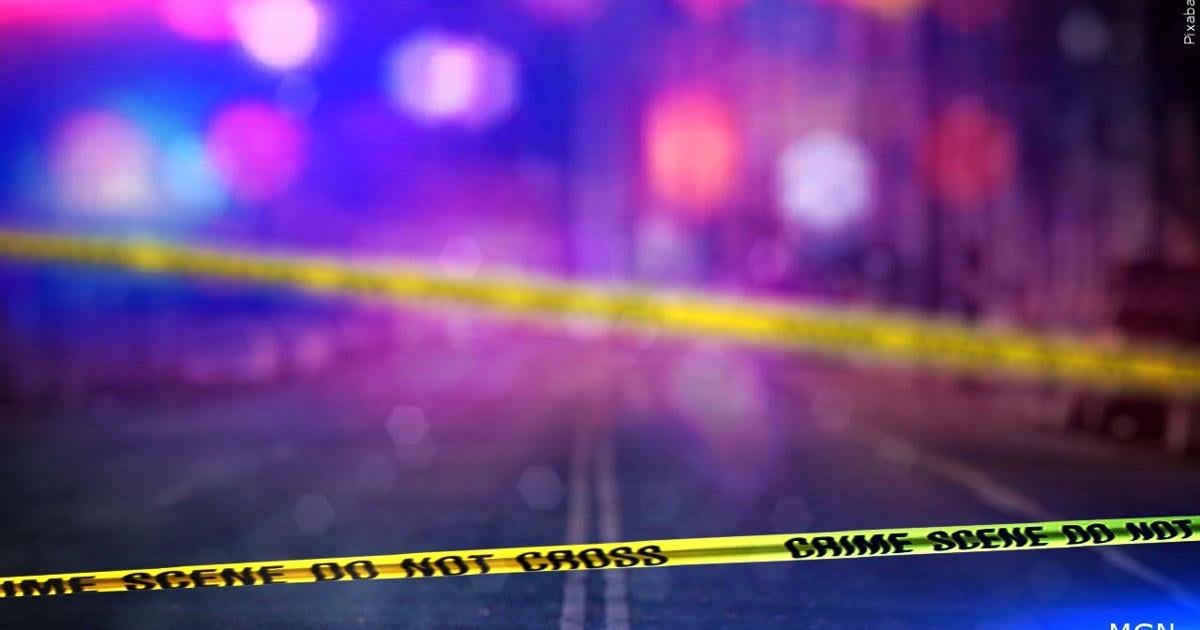 Pedestrian struck and killed on I-94