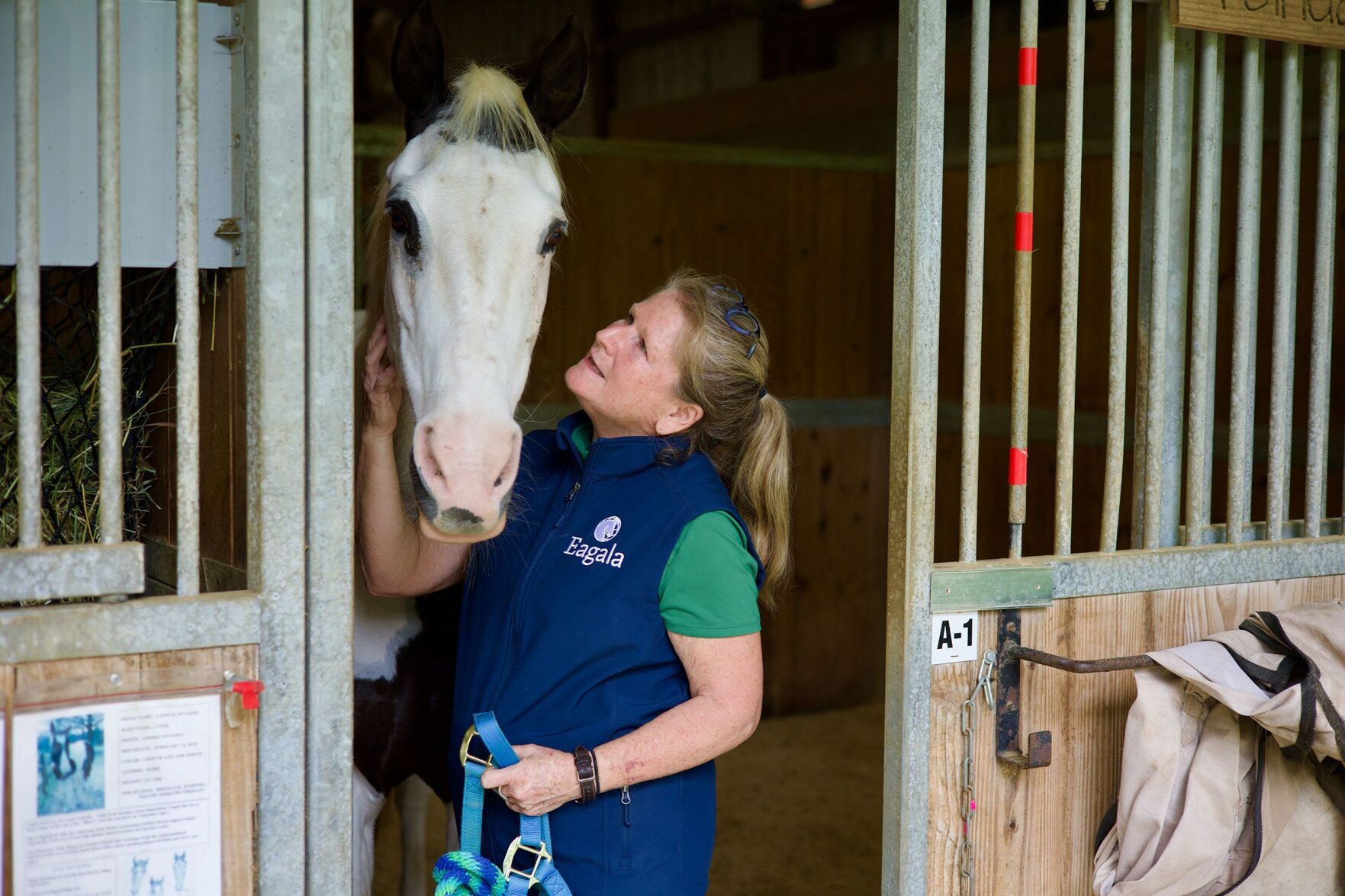 How Horses Can Soothe The Soul And Help Your Mental Health | | Wqow.com