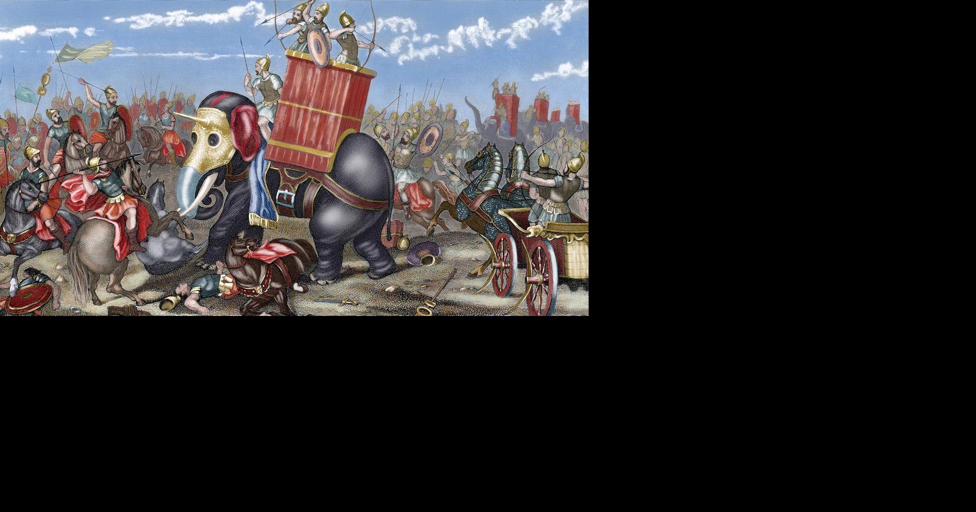 Ancient bone may be first physical evidence of Hannibal’s ‘war machine ...