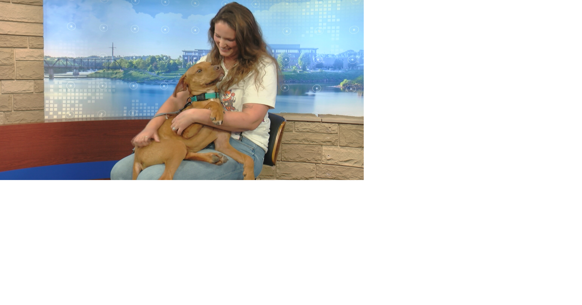 'Find Eden Rescue,' a new animal rescue, launches sports memorabilia auction fundraiser