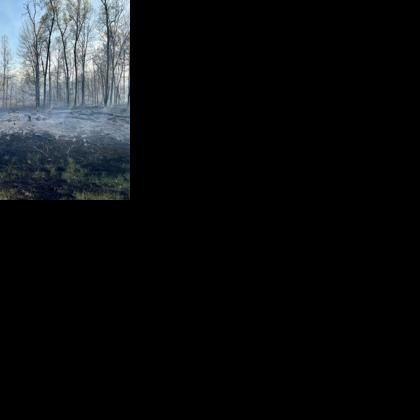 Wildfire risk high for parts of Wisconsin