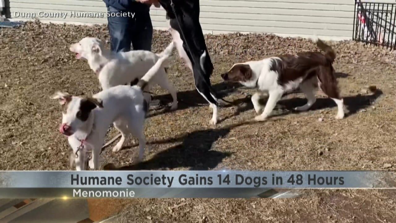 Dunn County Humane Society gains 14 dogs in 48 hours