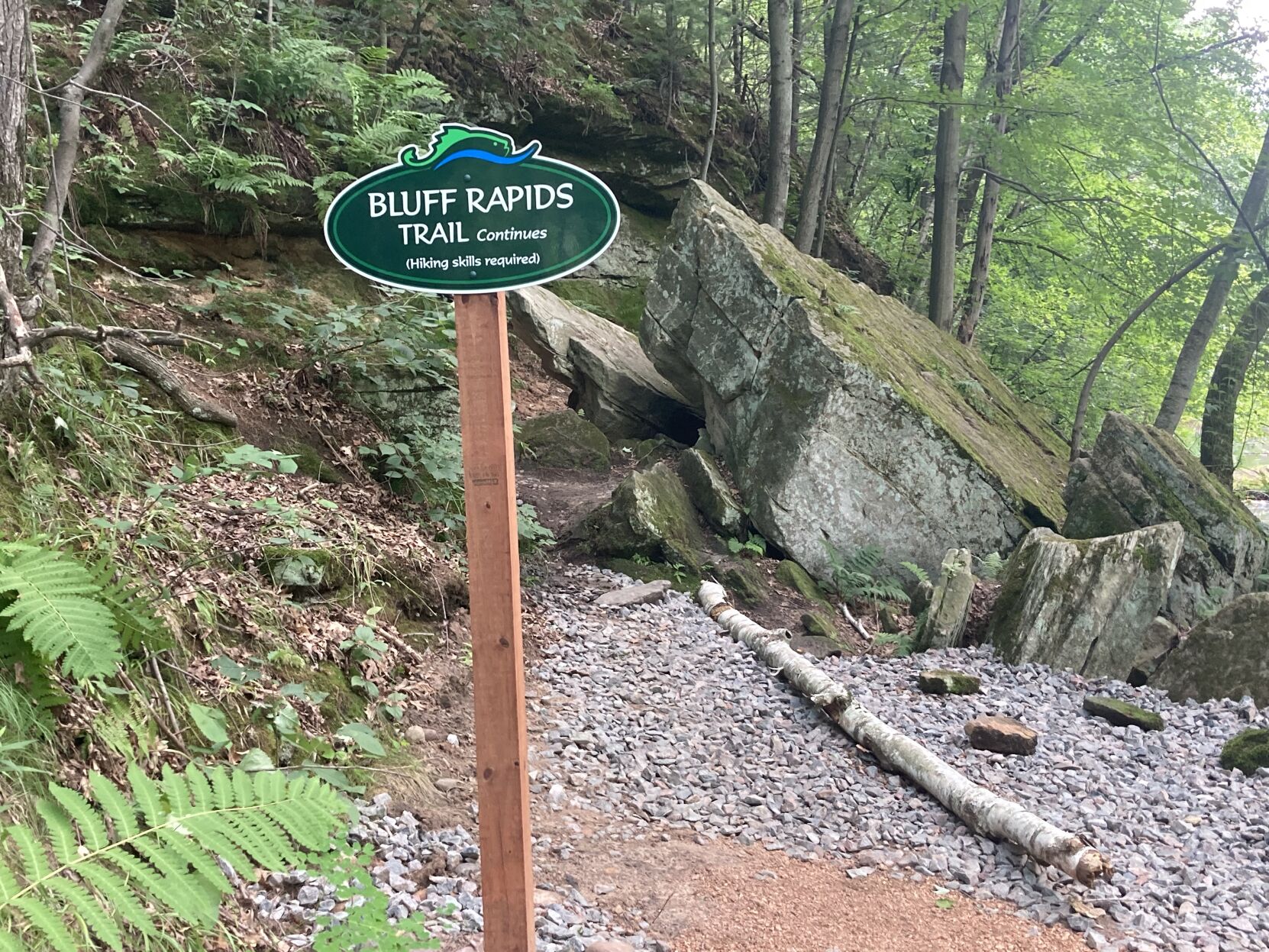 New area hiking trail brings creek and hillside views Chippewa