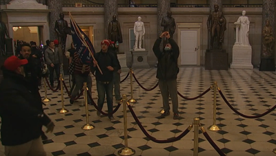 Protestors in Capitol
