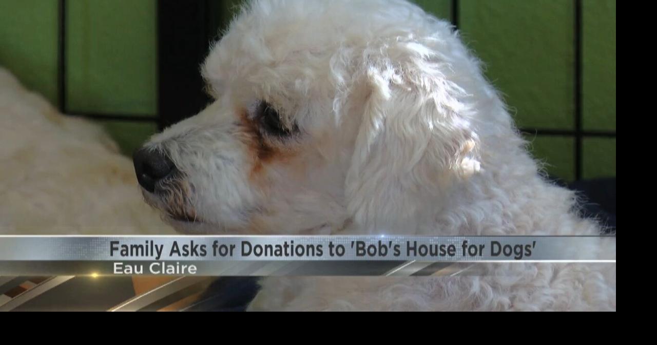 Family Asks for Donation to Bob's House for Dogs Video