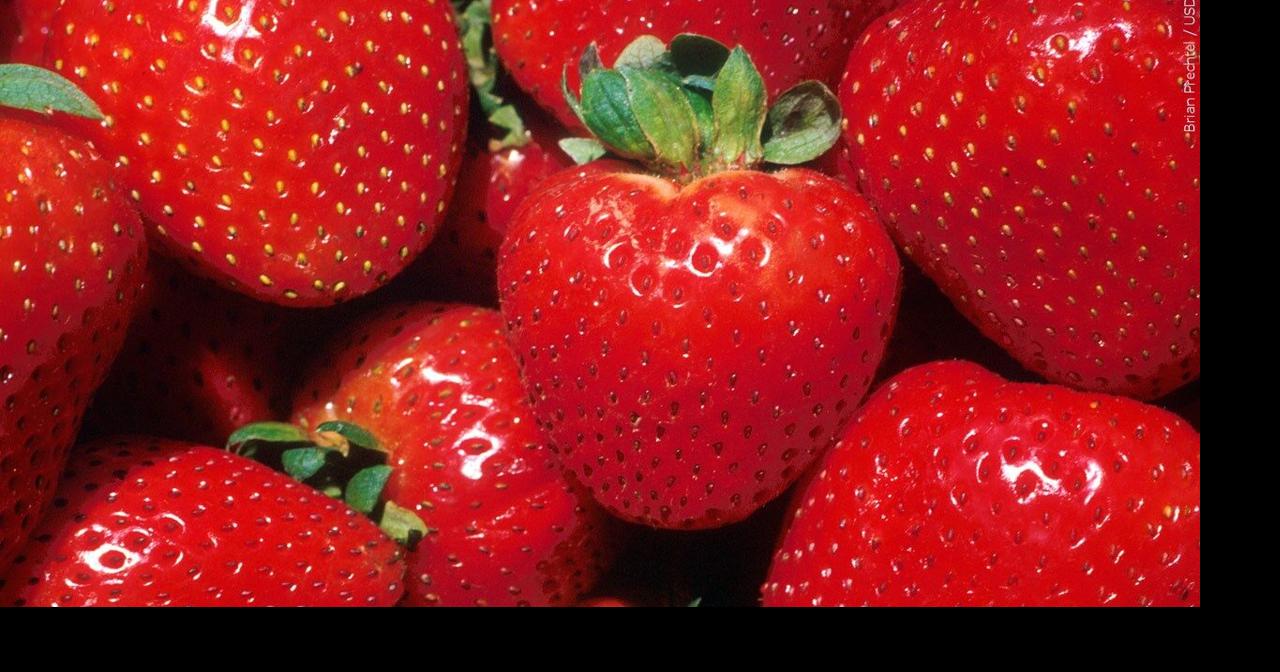 Frozen strawberries recalled; symptoms to look out for National