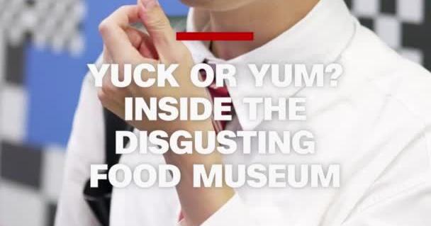 Disgusting Food Museum Tests Visitors With Insect-Heavy Menu | Video ...