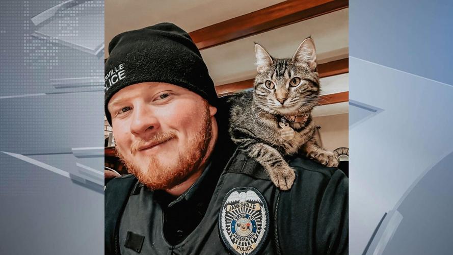 Police officer cat