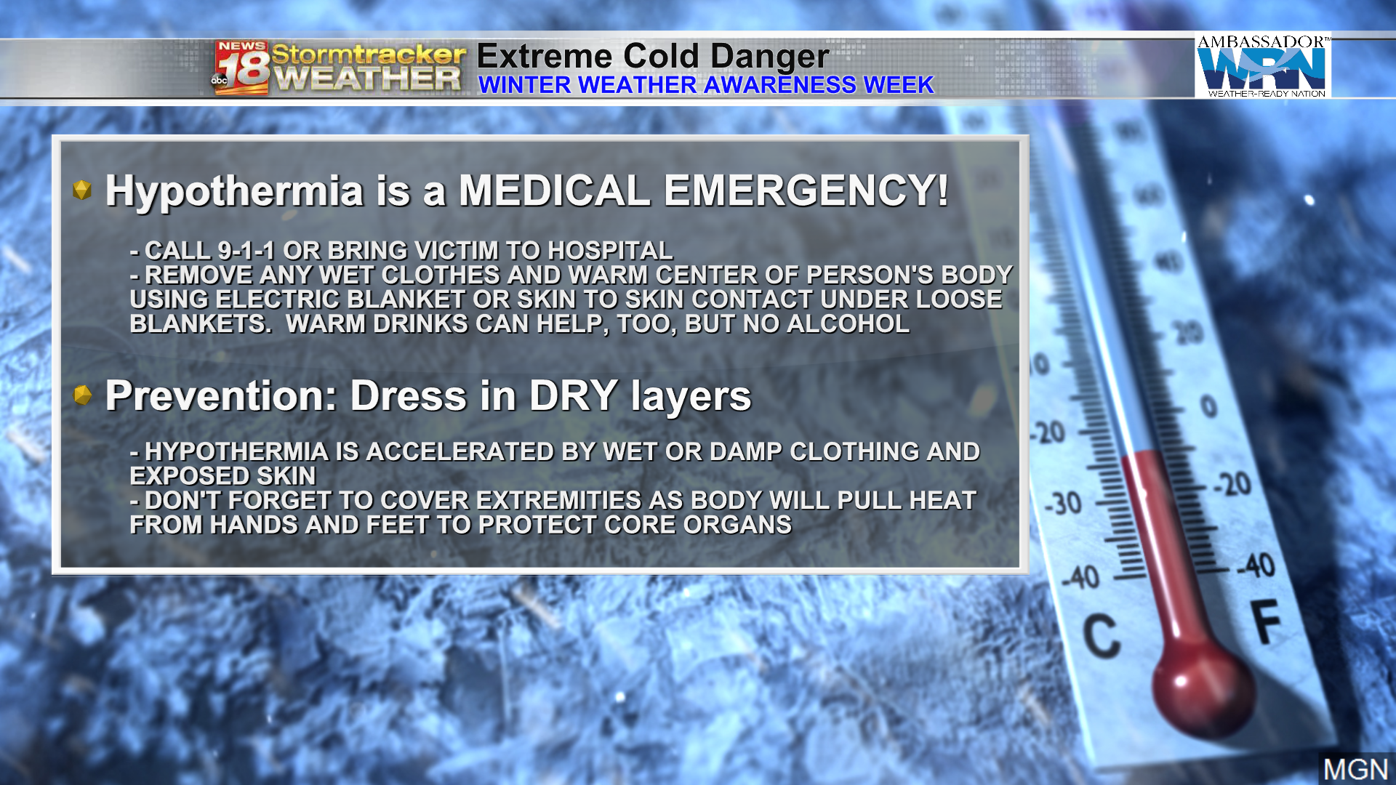 Extreme cold online weather blanket