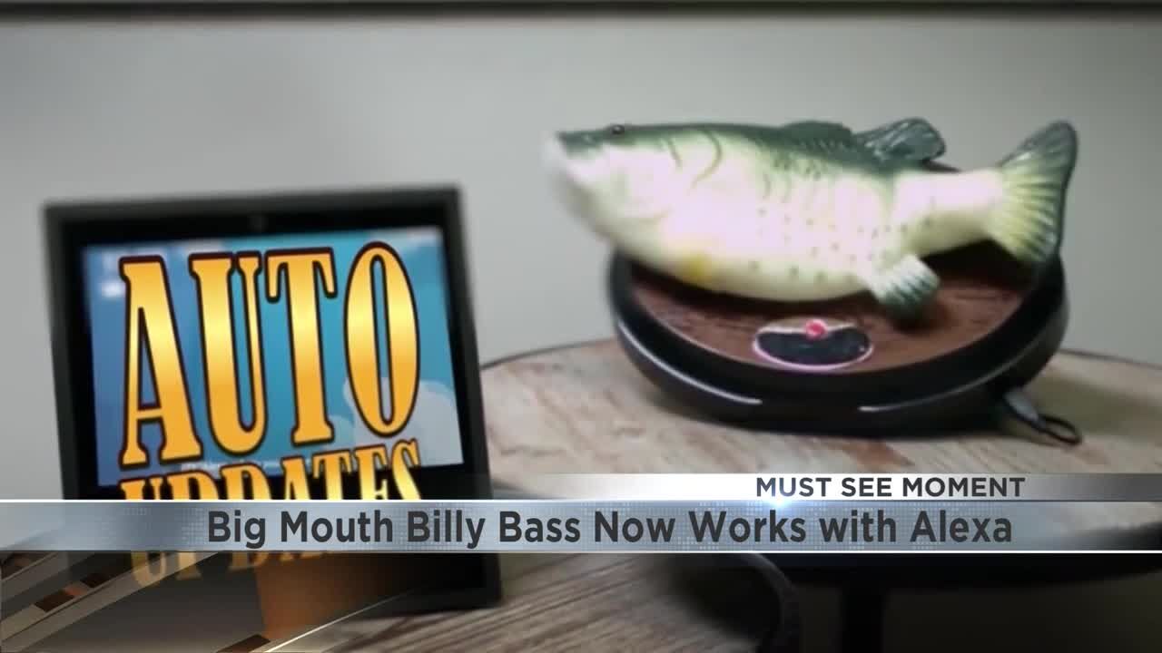 MUST SEE: Big Mouth Billy Bass has new voice with Amazon | Wake Up  Wisconsin | wqow.com