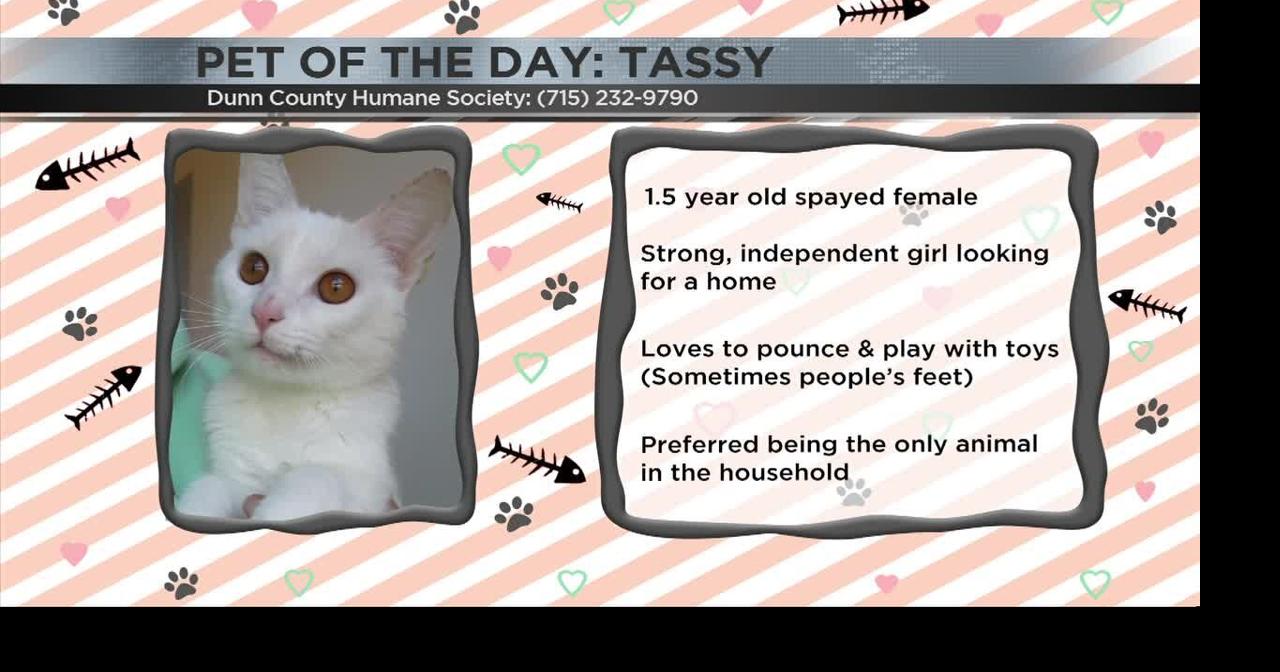 Meet Tassy! | Archive | wqow.com