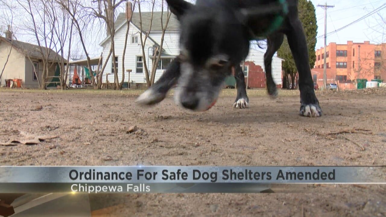 Chippewa Falls ordinance for safe dog shelters amended to curb neglect