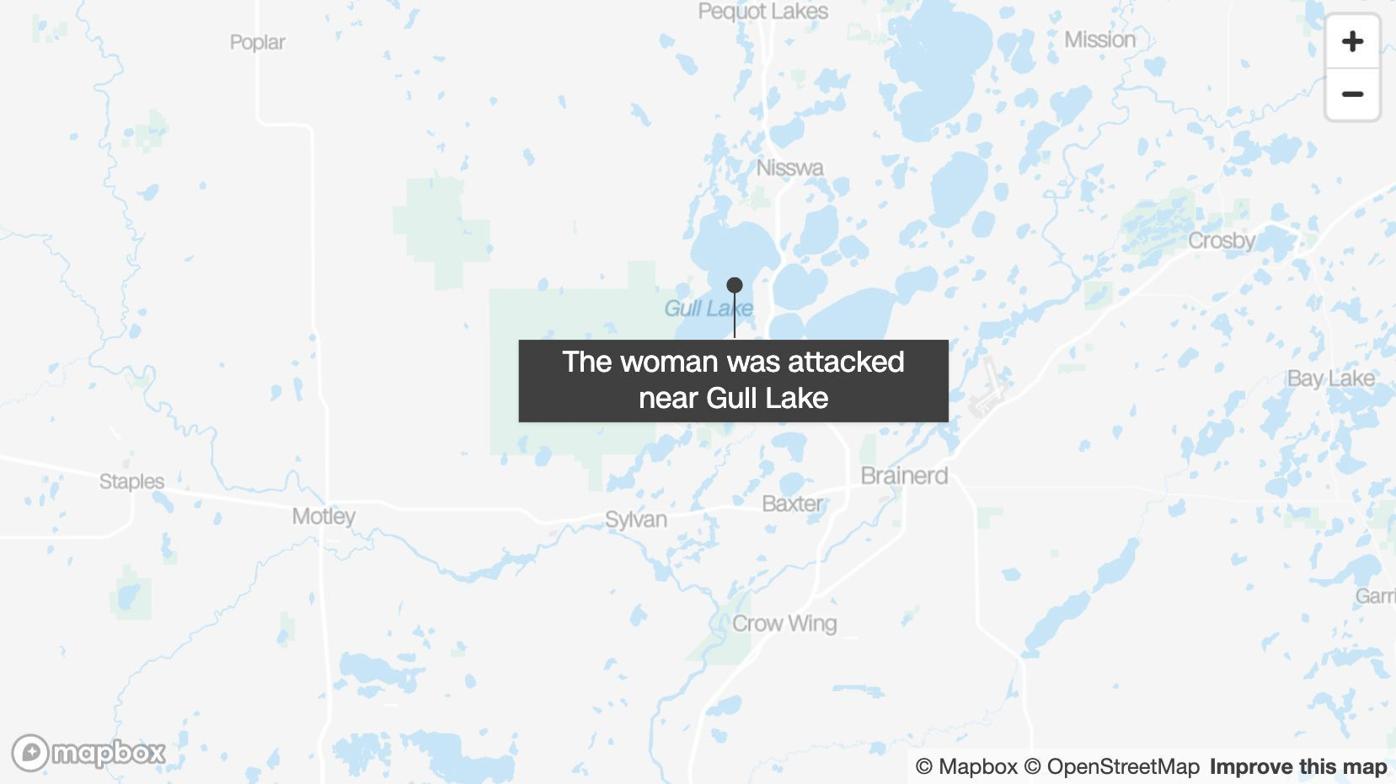 Woman seriously injured in black bear attack in Minnesota, officials say |  News | wqow.com