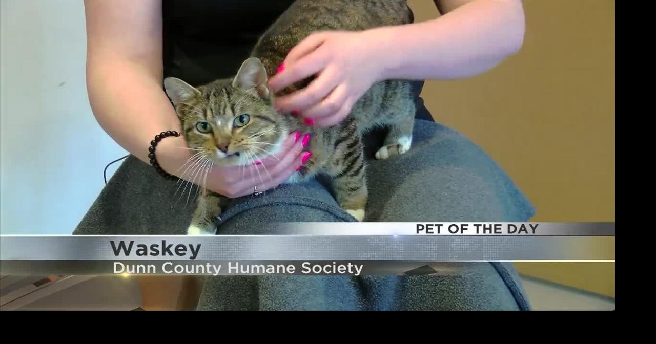 Meet Waskey! | Archive | wqow.com