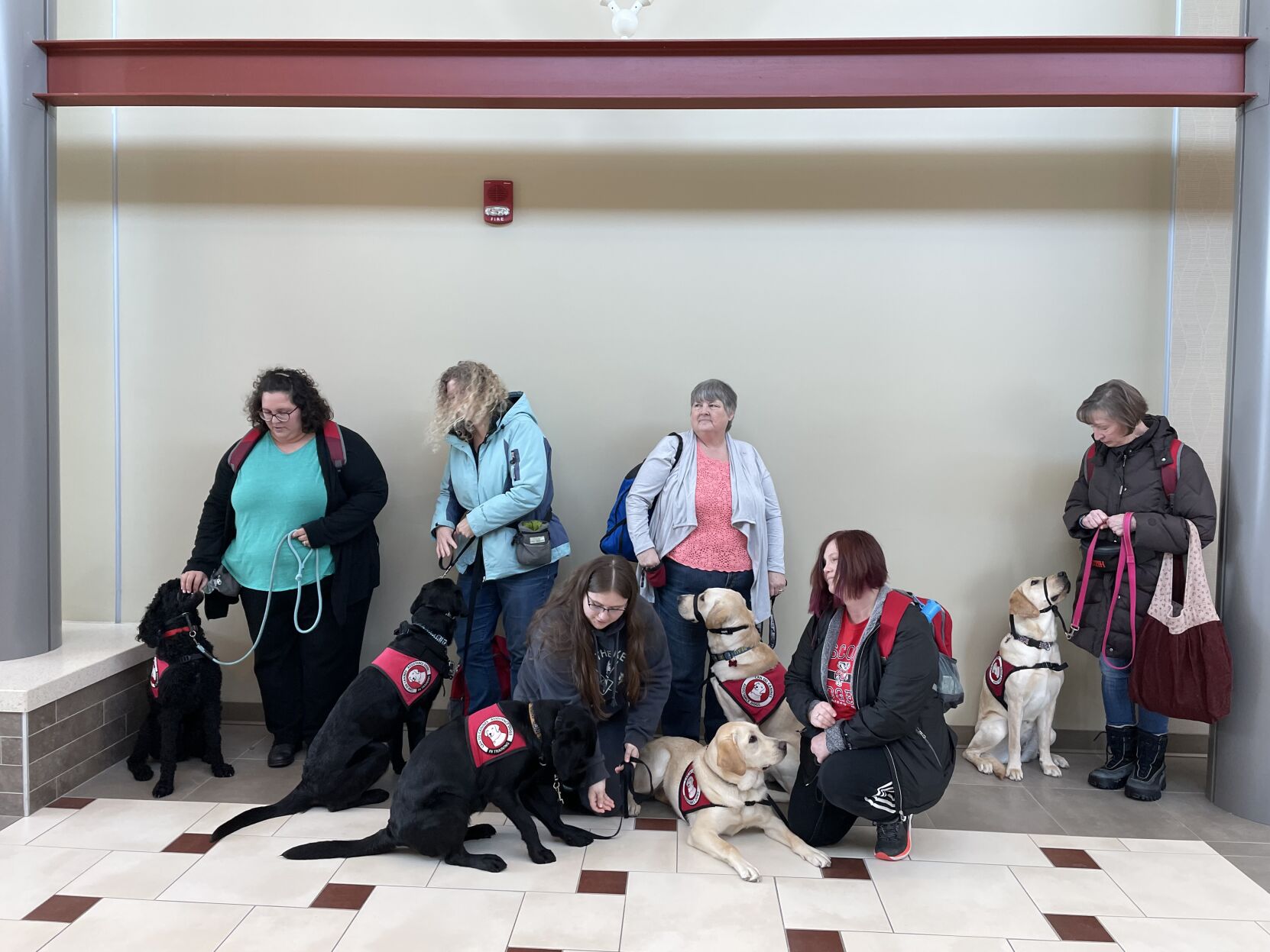 Service dogs train at Chippewa Valley Regional Airport News