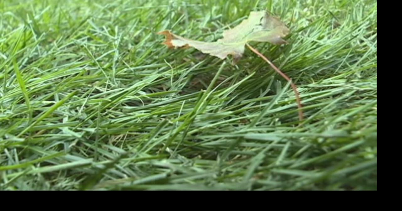 DNR grant provides Eau Claire with new electric lawnmowers News