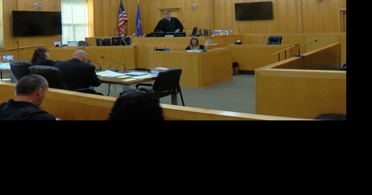 In day one of the hearing for teen accused of killing Lily Peters, experts testify about