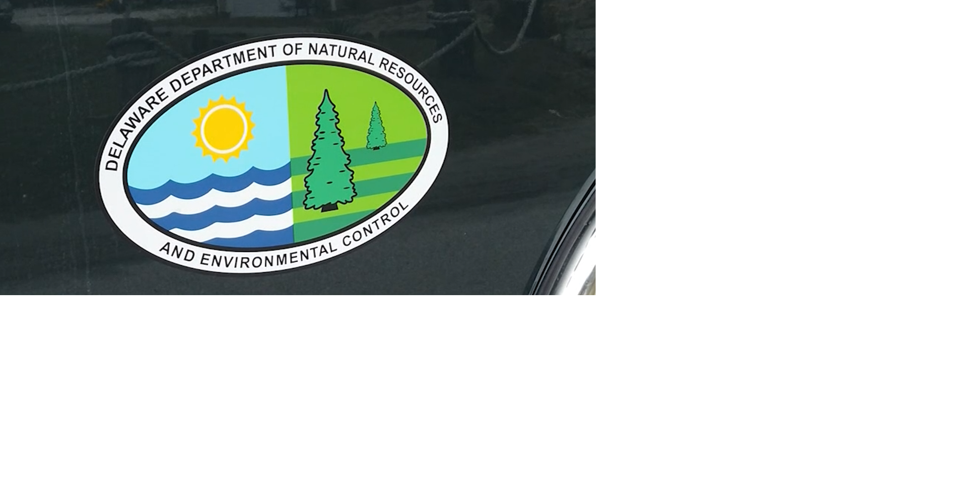 department of environment and natural resources logo