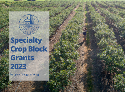 DDA Specialty Crop Block Program
