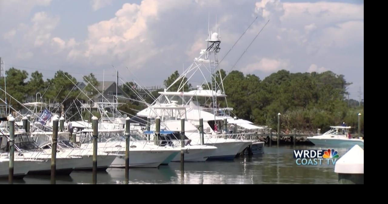 50th White Marlin Open Is Underway News