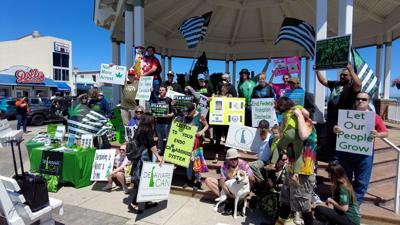 Global Cannabis March in Rehoboth Beach Educates as Cannabis is Legalized in Delaware