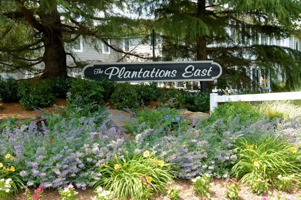 Plantations East