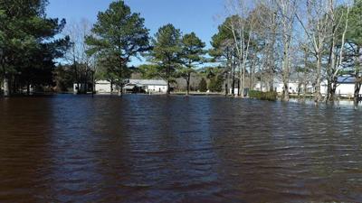 Drainage Issues Flood White Horse Farm in Harbeson