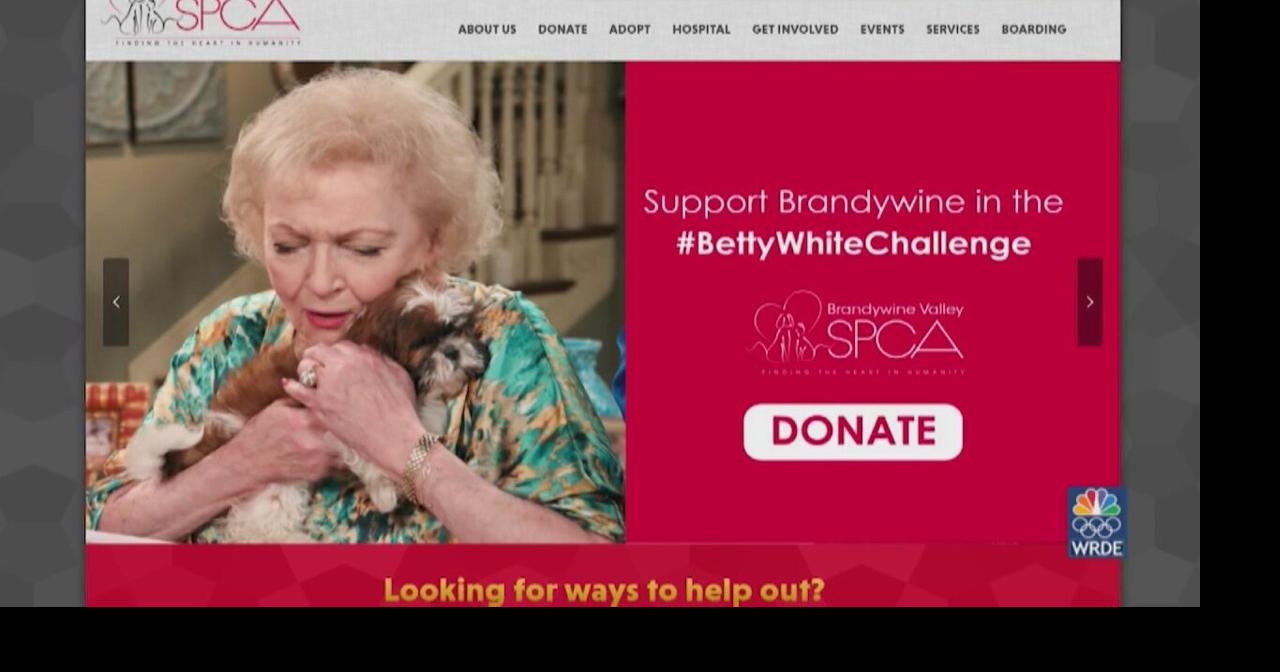 Betty White Challenge Comes to an End, Local Shelters Get Tens of