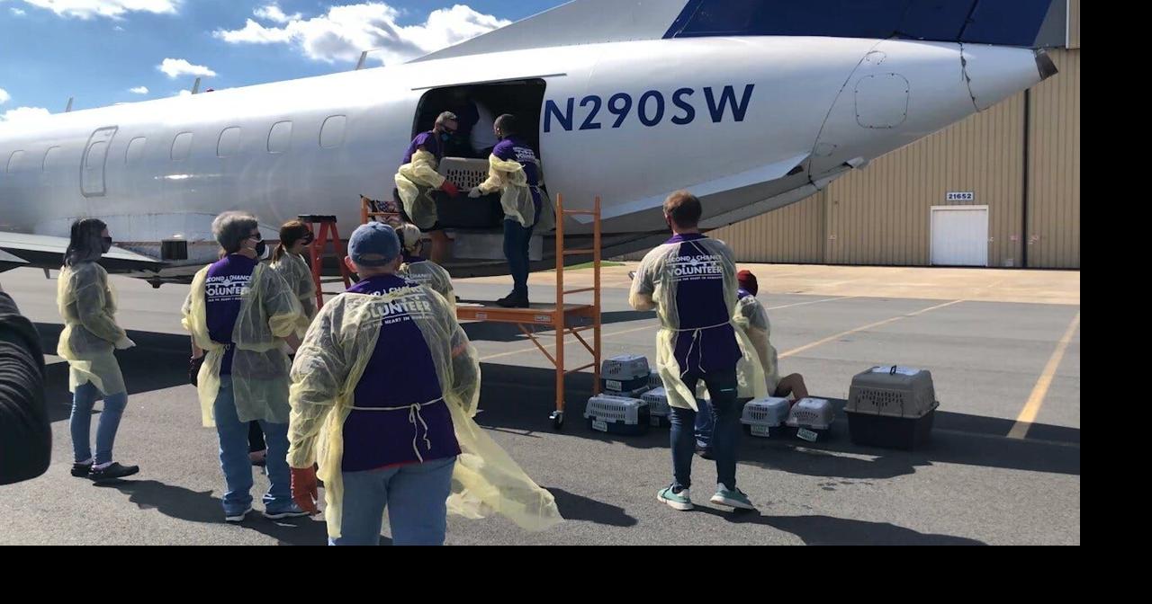 Brandywine Valley SPCA Celebrates Milestone With 100th Animal Rescue Flight Delaware
