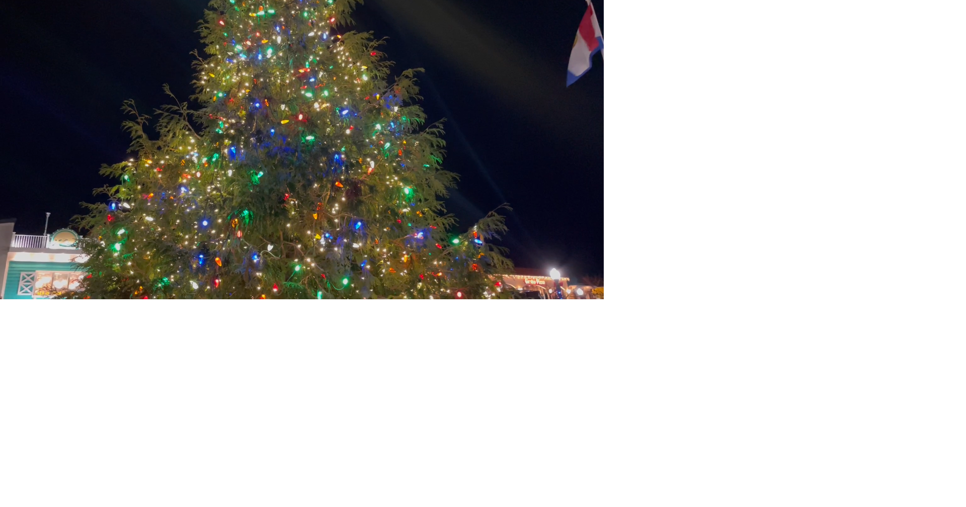 Rehoboth Beach Christmas Tree lighting brightens holiday cheer