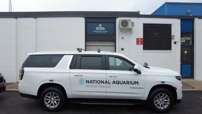National Aquarium Stranding Response Center