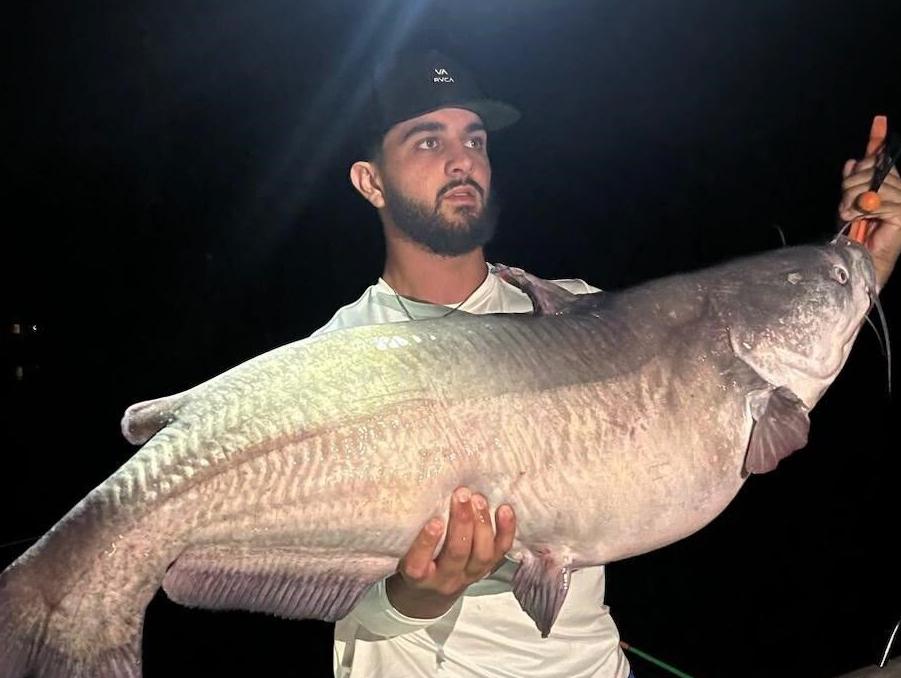 Delaware state record Blue Catfish caught in Nanticoke River, News