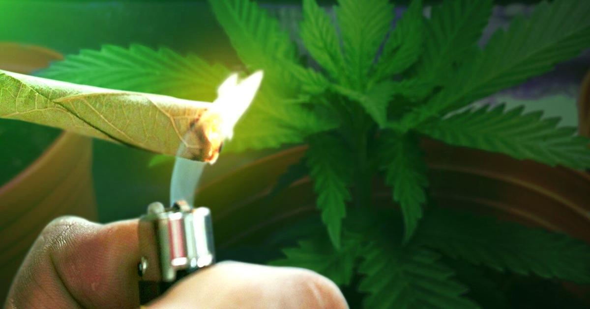 Delaware Lawmakers File Again for Marijuana Legalization, Regulation