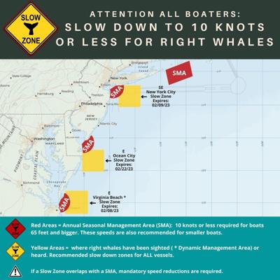 The slow zone off the coast of Delmarva is one of four in effect along the Mid-Atlantic coast. The slow zone is recommended for all boats after the presence of right whales was redetected. Courtesy Maryland Department of Natural Resources.