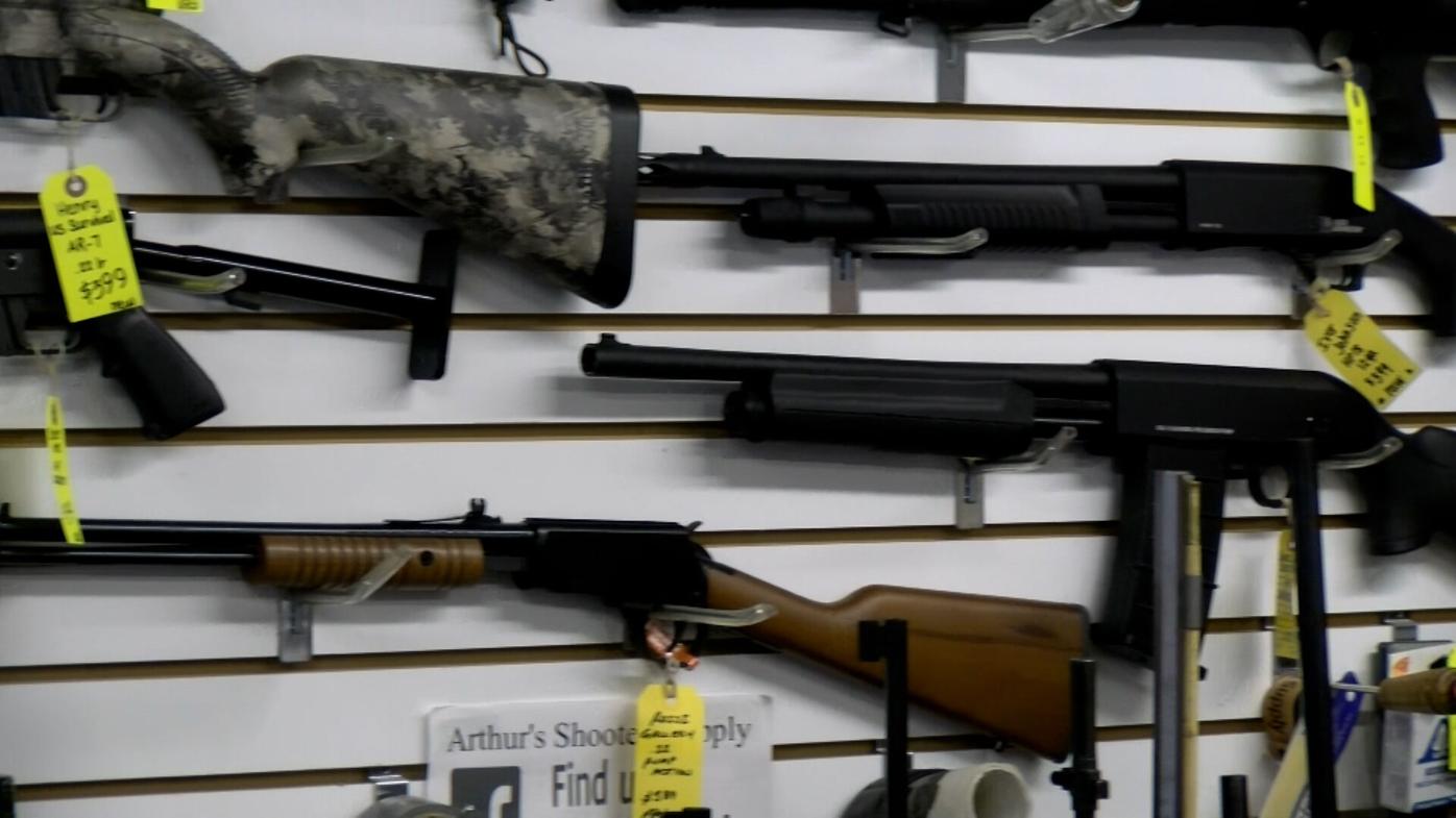 Delaware Assault Weapon Ban
