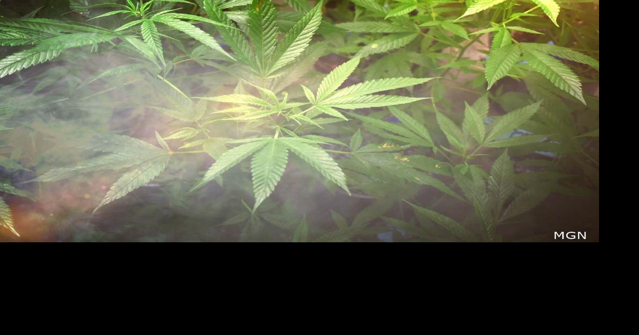 UPDATE: Weed watch: a comprehensive look at Sussex County's marijuana ordinances