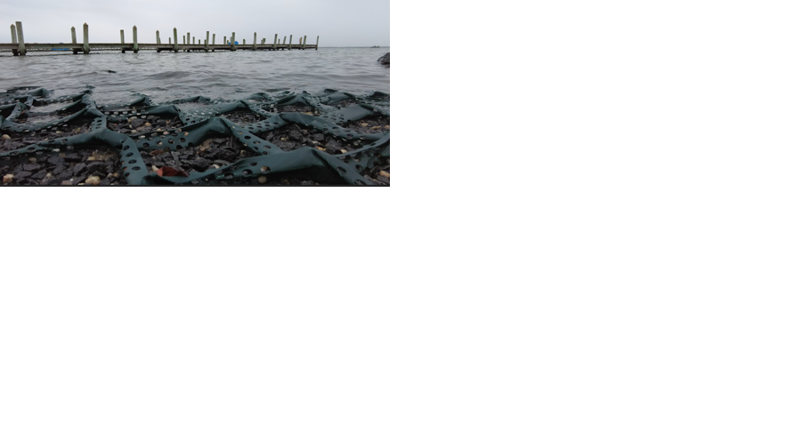 A Study of the Delaware Inland Bays Moves Forward - Vimarsana News