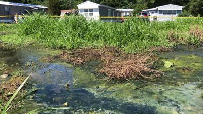 Years of Leaky Septic Tank Problems Pile up in Lewes Community