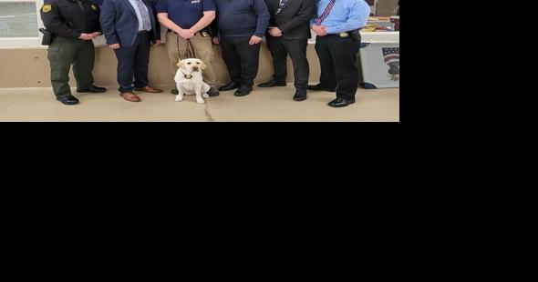 Maryland Office of the State Fire Marshal Introduces New Accelerant-Detecting K9 Unit Deacon - Vimarsana News