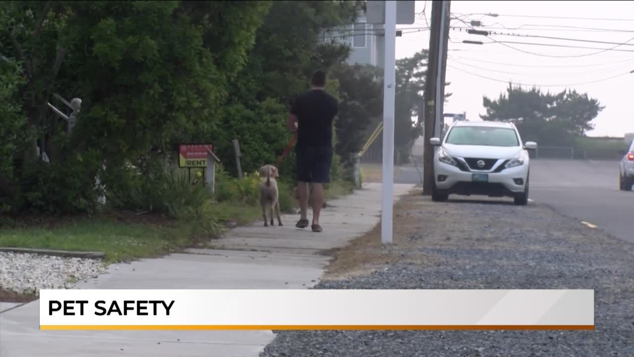 WRDE Morning Update - June 9, 2023 | News | Wrde.com