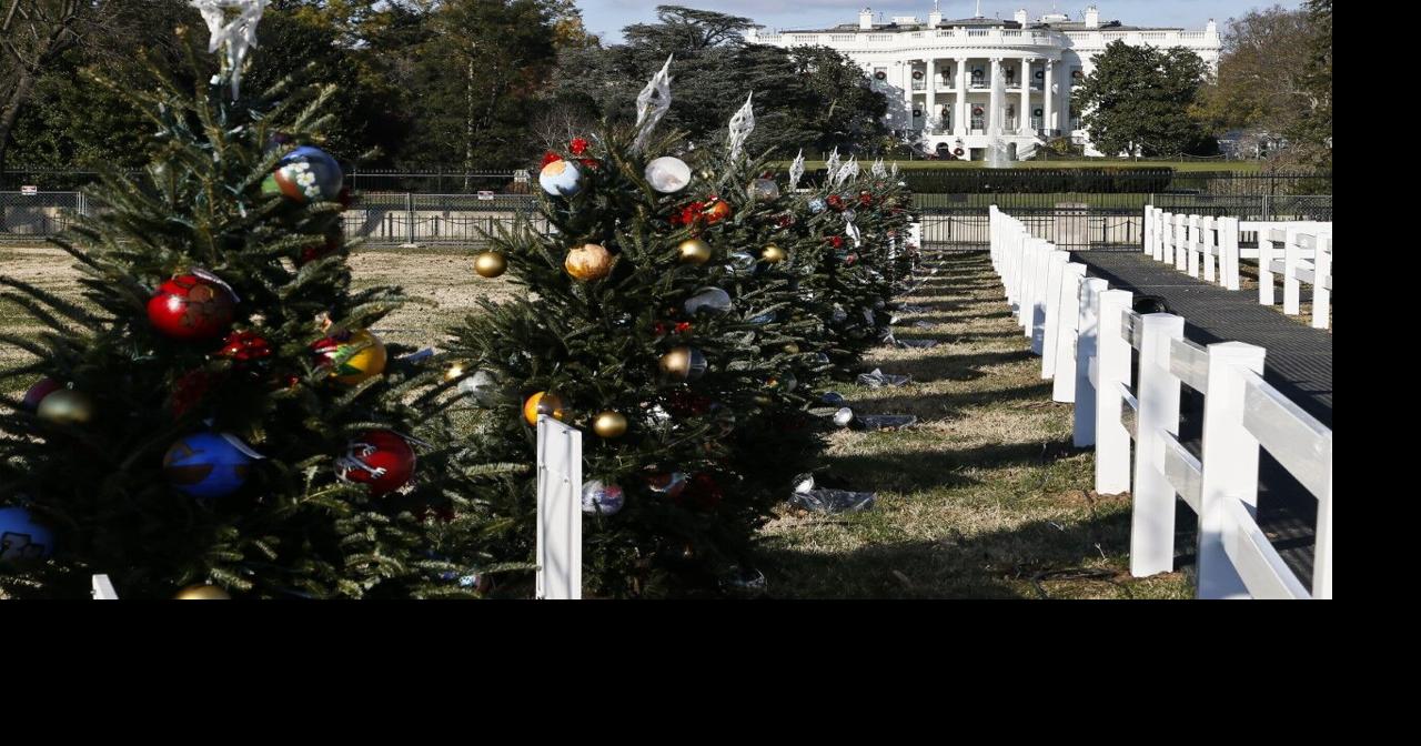 Boy Scouts Christmas Tree Rockford Il 2022 Harlem Middle School Chosen To Make Ornaments For Illinois Christmas Tree  At The White House | Archive | Wrex.com