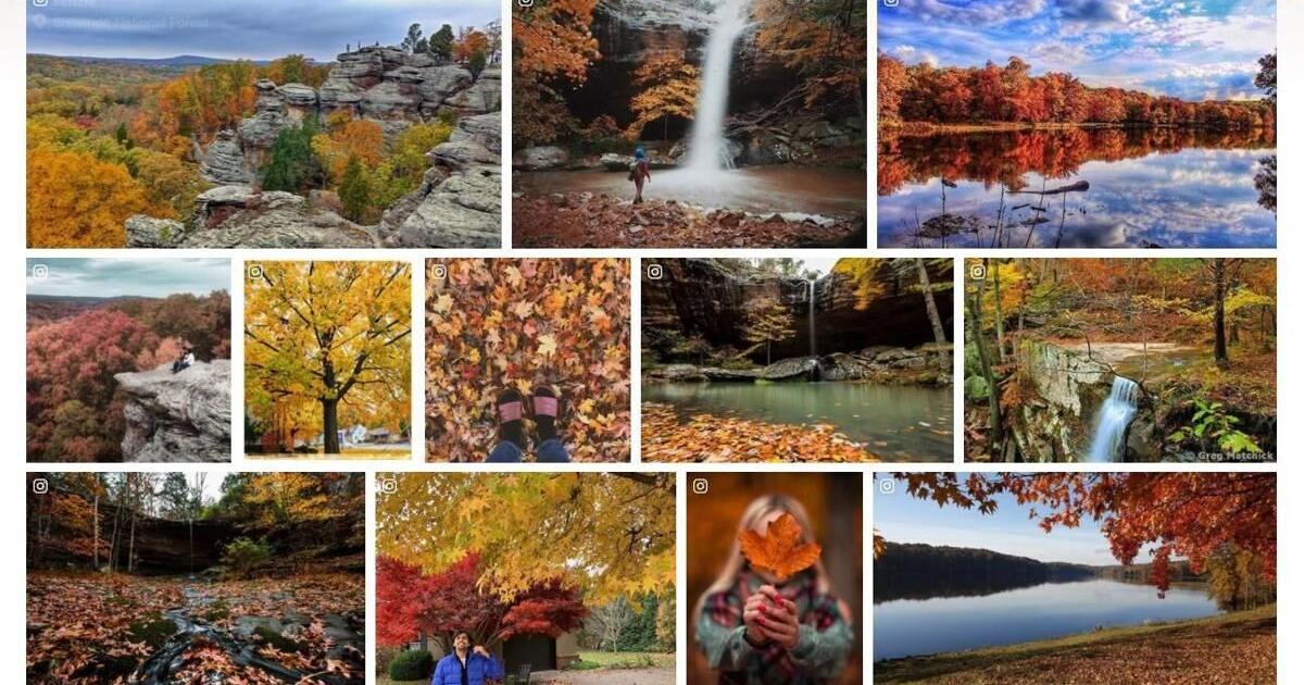 Want to see the fall colors? Illinois highlights road trip plans to see ...