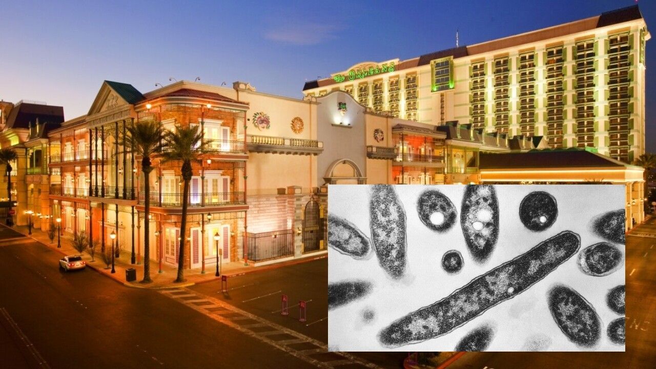 Las Vegas family suing The Orleans casino, apartment after mom dies from  Legionnaires' disease | | wrex.com, image size:1280x720