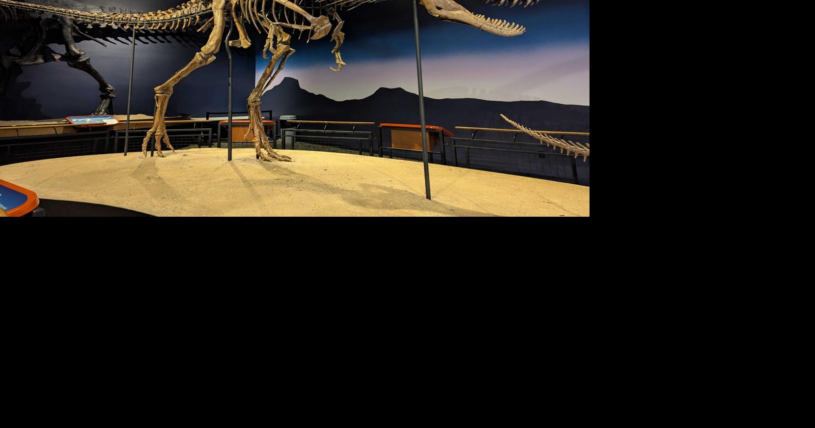 Burpee Museum to announce major discovery at PaleoFest