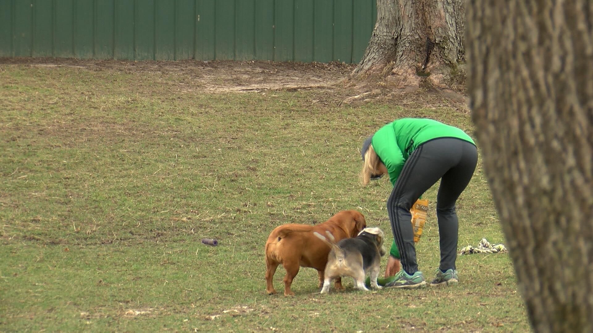 B & B Canine Offering Dog Care For Owners | Positive Local News | Wrex.com