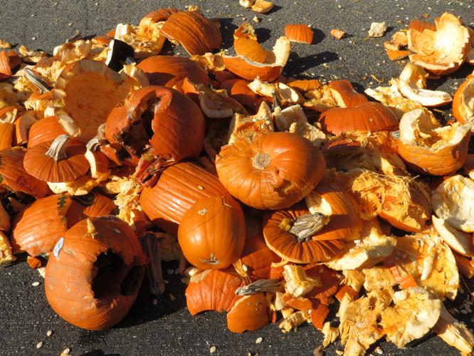 Discovery Center Museum explores laws of motion with pumpkins on