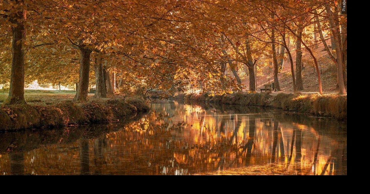 Here are some of the more subtle changes of fall
